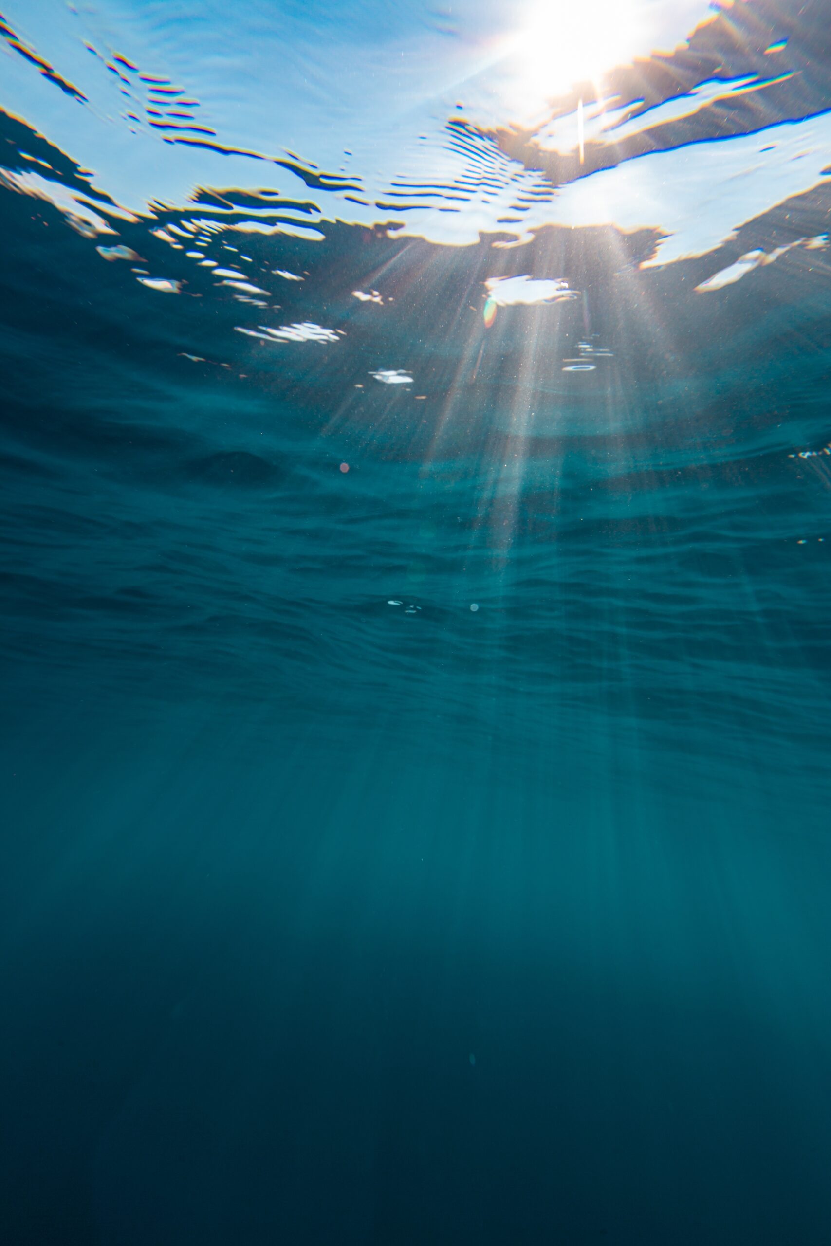 Entering the Underwater Domain