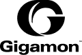 Technology partner logo