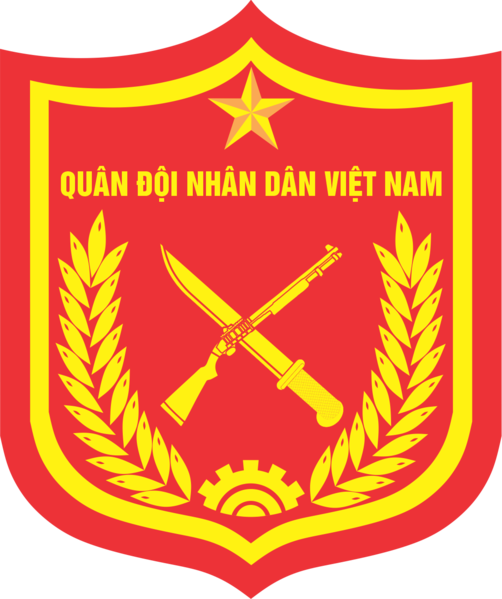 Vietnam's Ground Forces